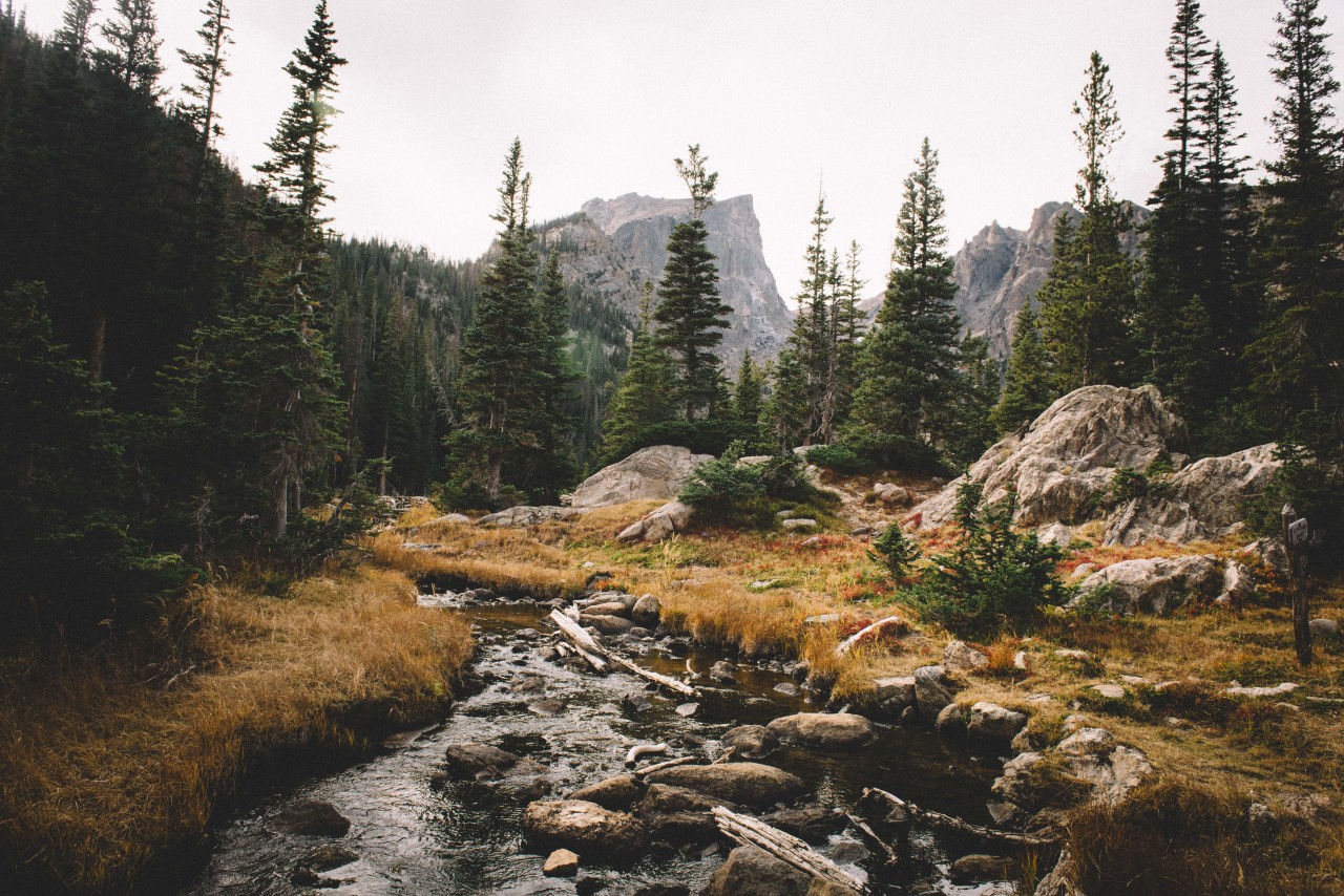 mountains